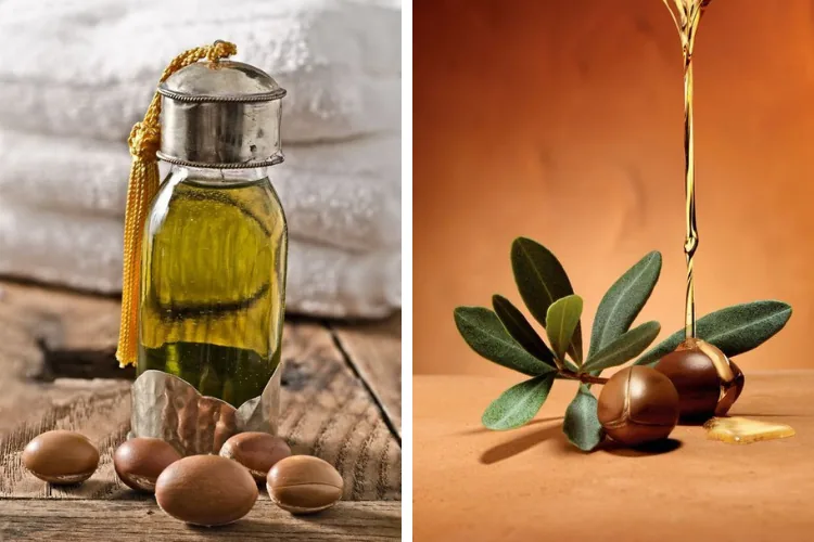 Huile d'argan